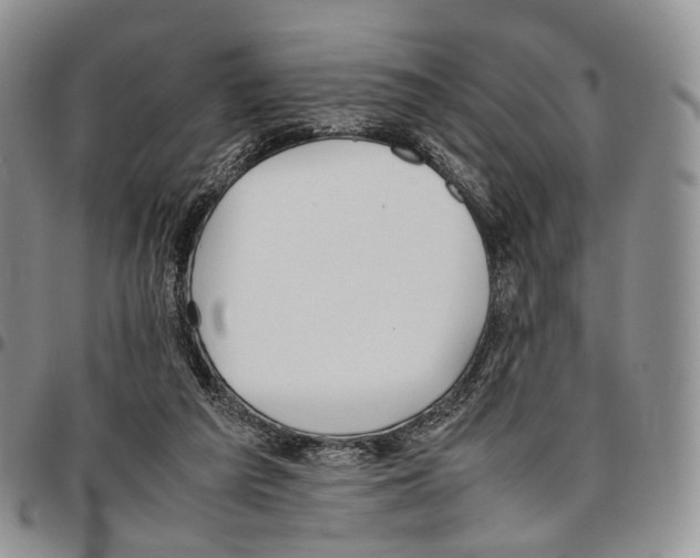 X0000096700209200803041328
