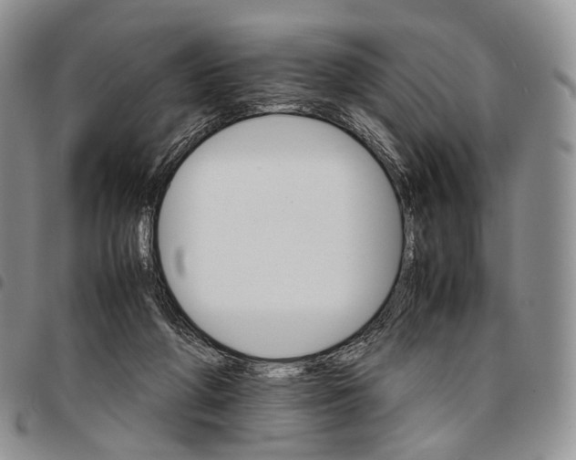 X0000096700210200803041328