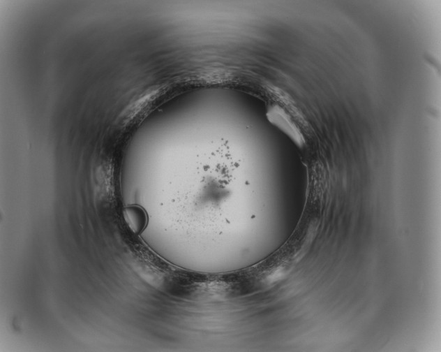 X0000096700212200803041328
