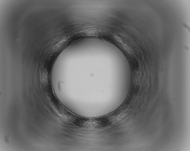 X0000096700213200803041328