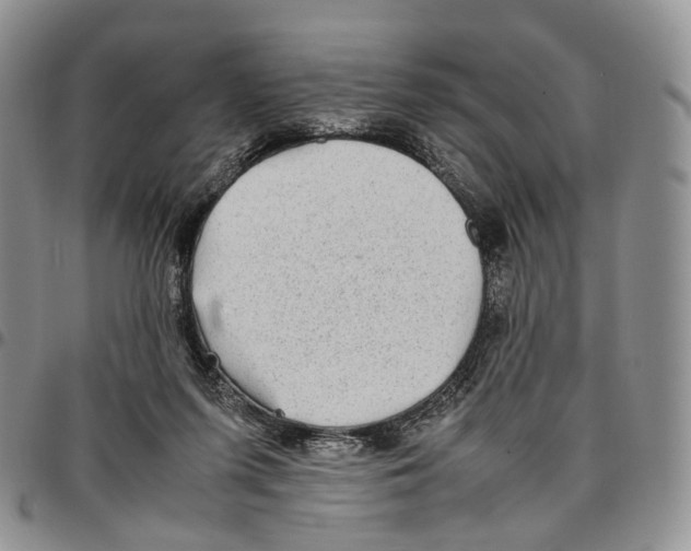 X0000096700215200803041328