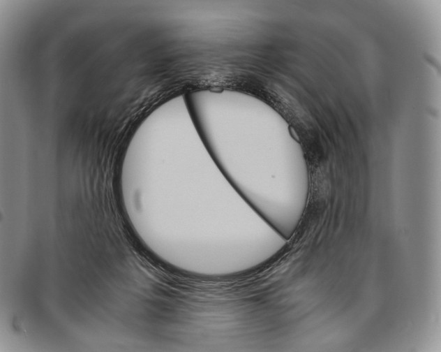 X0000096700217200803041328