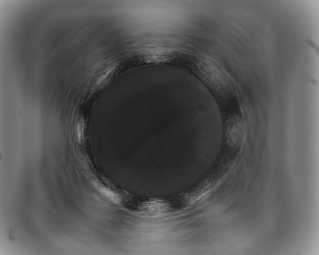 X0000096700219200803041328