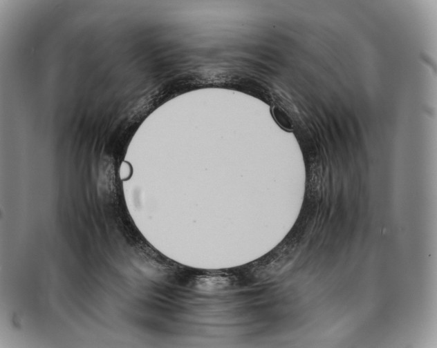 X0000096700220200803041328