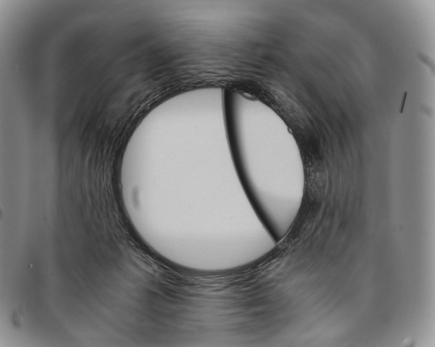 X0000096700221200803041328