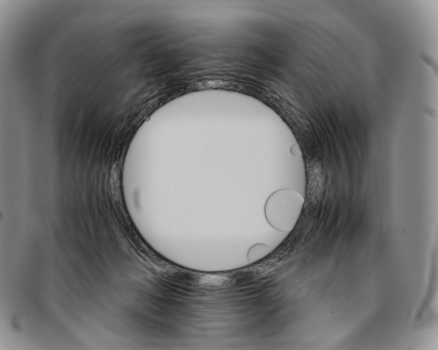 X0000096700222200803041328