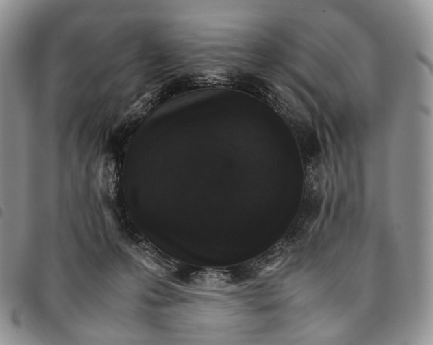 X0000096700223200803041328