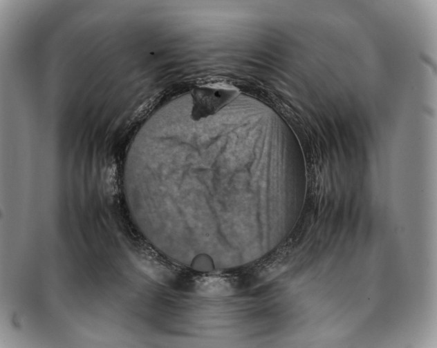 X0000096700224200803041328