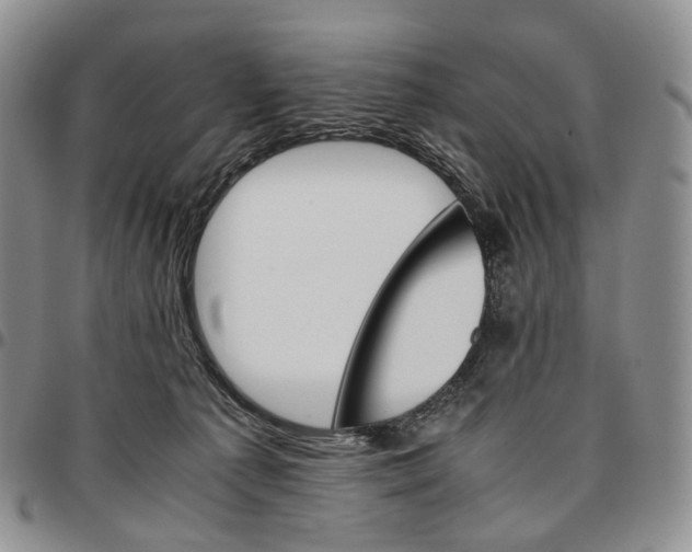 X0000096700225200803041328