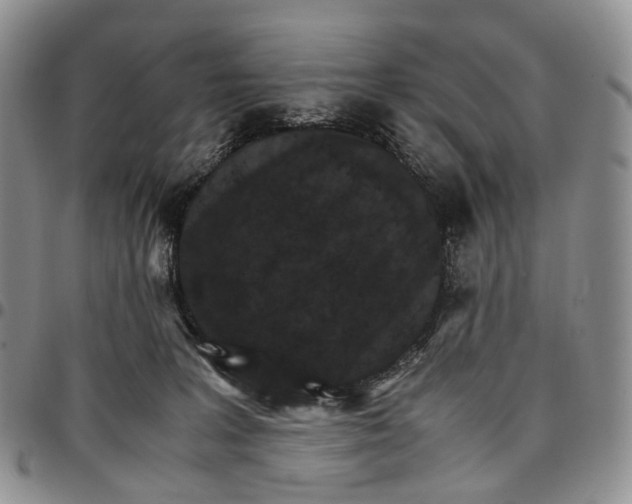 X0000096700227200803041328