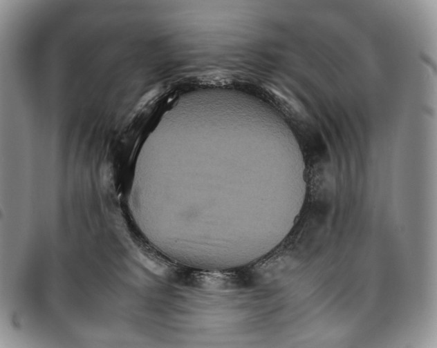 X0000096700229200803041327
