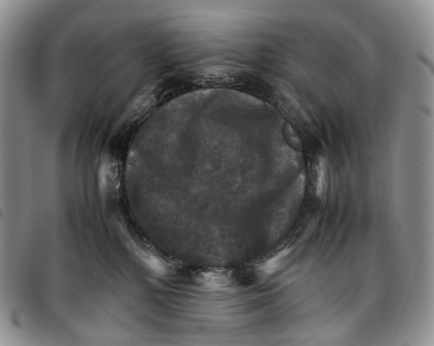 X0000096700232200803041327