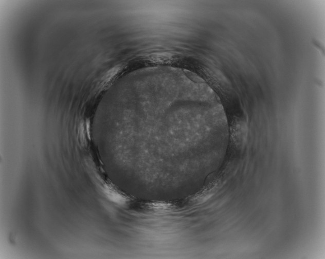 X0000096700233200803041327