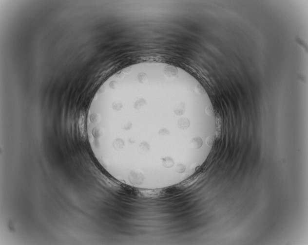 X0000096700238200803041327
