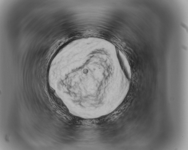 X0000096700241200803041327