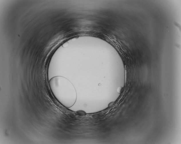 X0000096700243200803041327