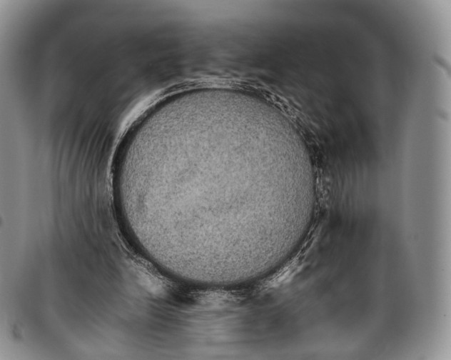 X0000096700246200803041327