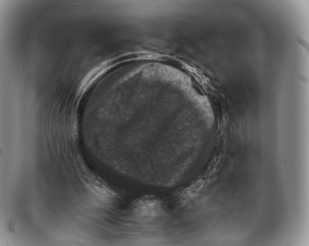 X0000096700247200803041327