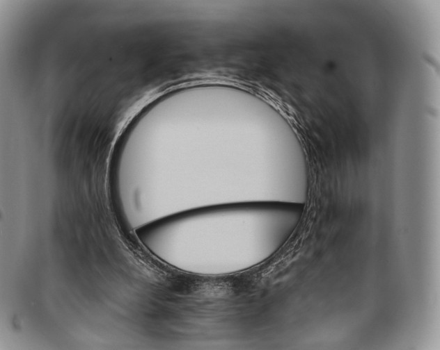 X0000096700248200803041327