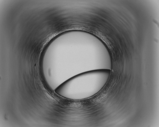 X0000096700252200803041327