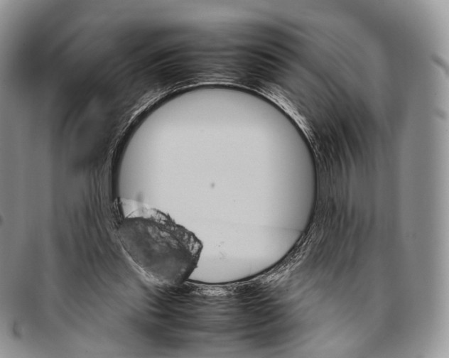 X0000096700253200803041327