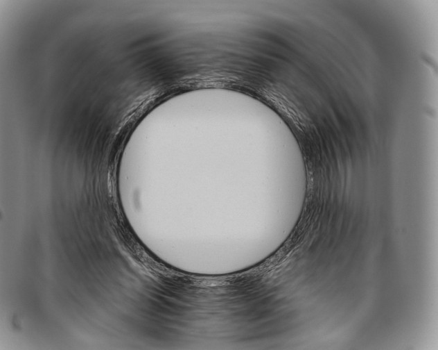 X0000096700254200803041327