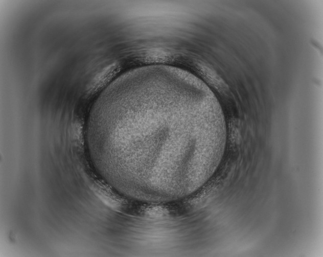 X0000096700258200803041327