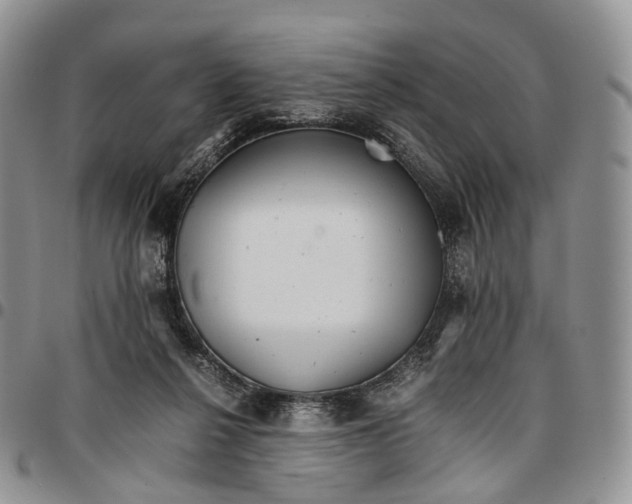 X0000096700264200803041327