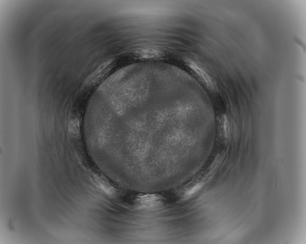 X0000096700269200803041327