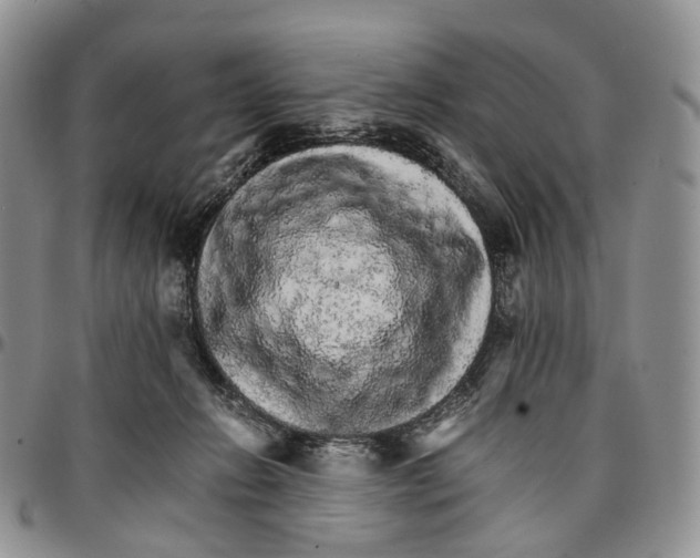 X0000096700270200803041327
