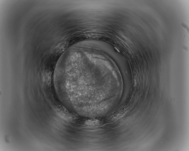 X0000096700271200803041327