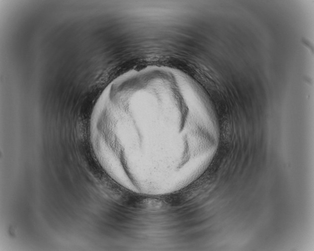 X0000096700272200803041327