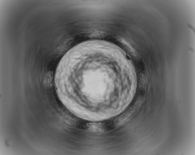 X0000096700273200803041327