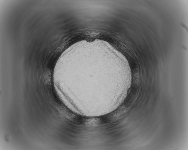 X0000096700274200803041327
