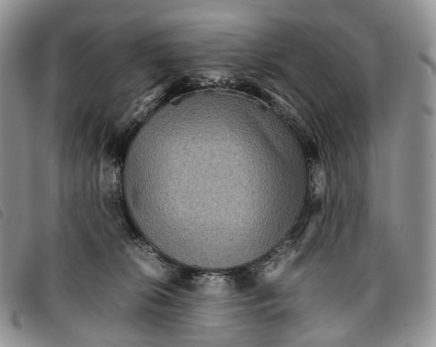 X0000096700276200803041327