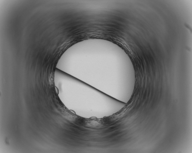 X0000096700285200803041327