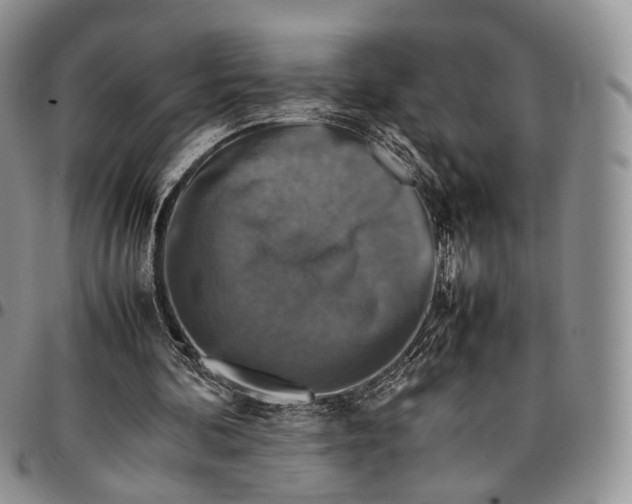 X0000096700292200803041327