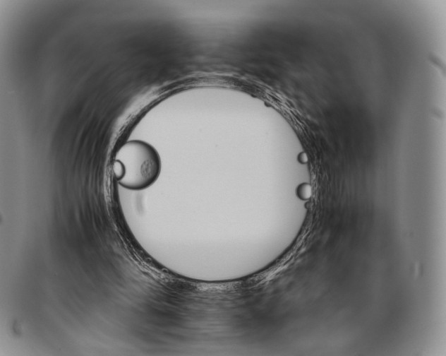 X0000096700294200803041327