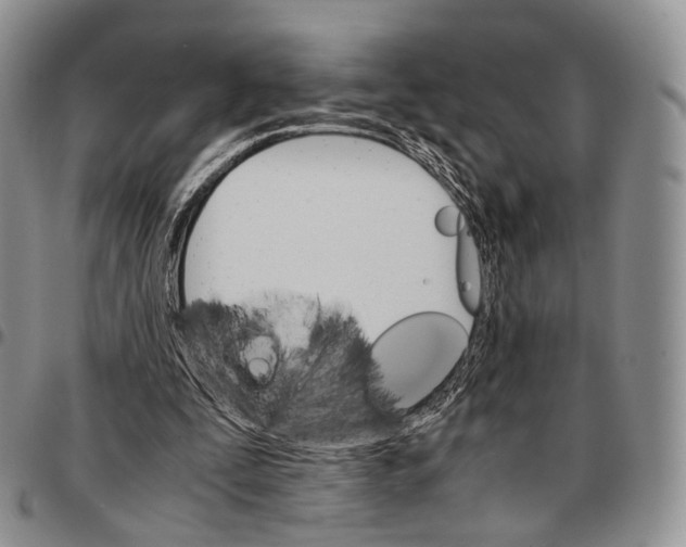 X0000096700295200803041327