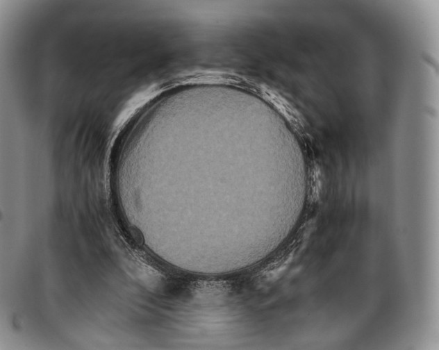X0000096700296200803041327