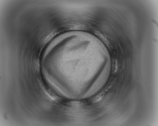 X0000096700298200803041327