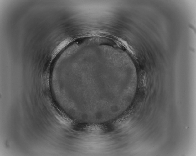 X0000096700299200803041326