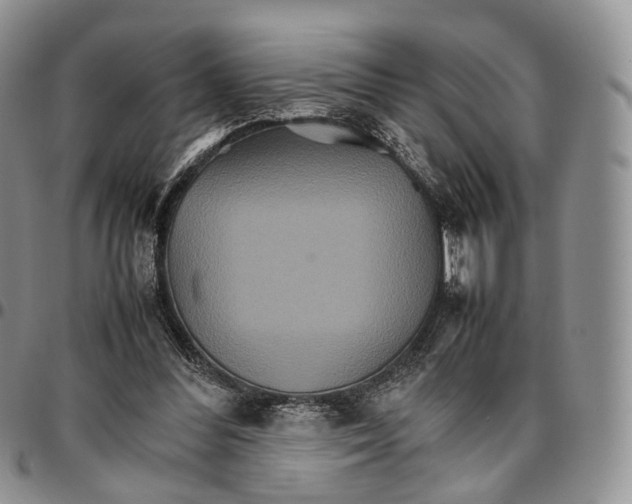 X0000096700300200803041326