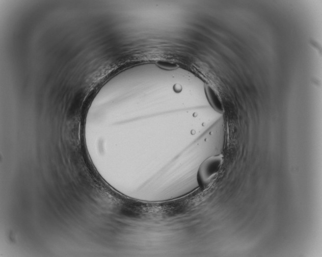 X0000096700301200803041326
