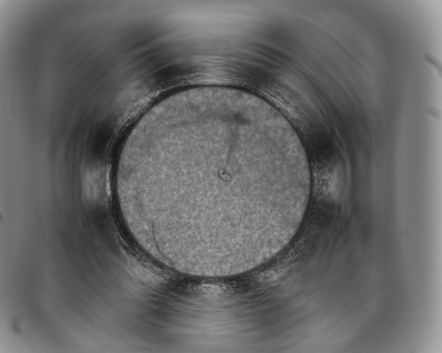 X0000096700302200803041326