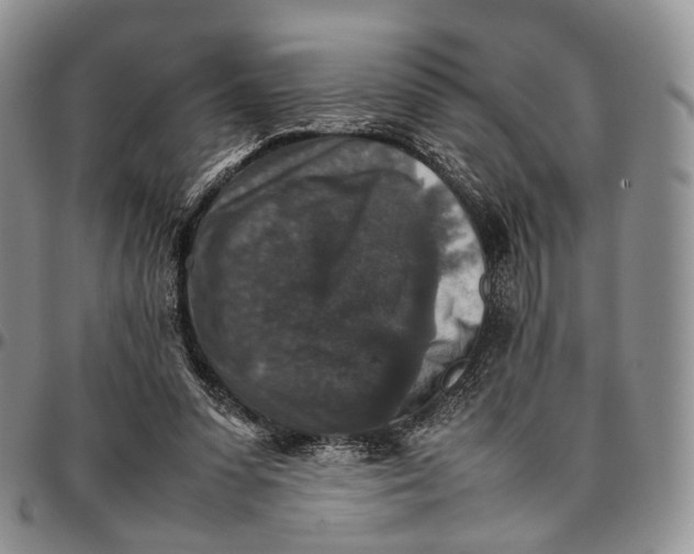 X0000096700303200803041326