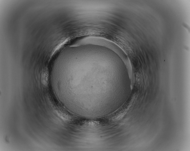 X0000096700304200803041326