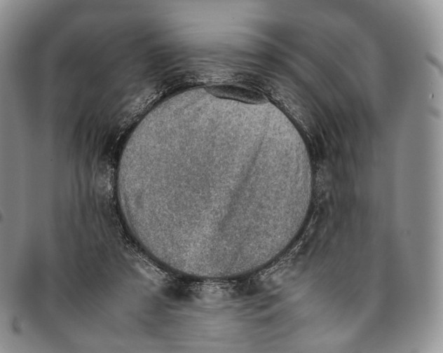 X0000096700305200803041326
