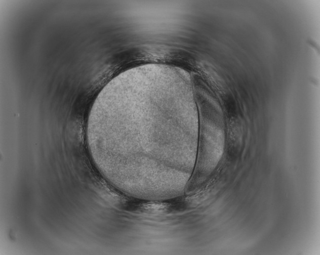 X0000096700313200803041326