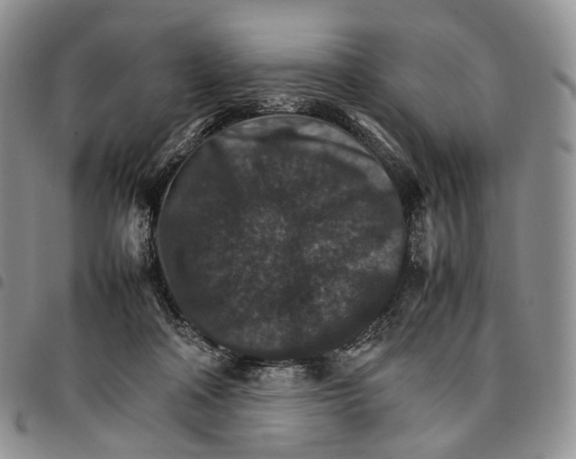 X0000096700314200803041326